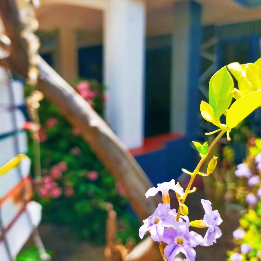 Eastwind Surf Camp Hotel Arugam Bay Exterior photo