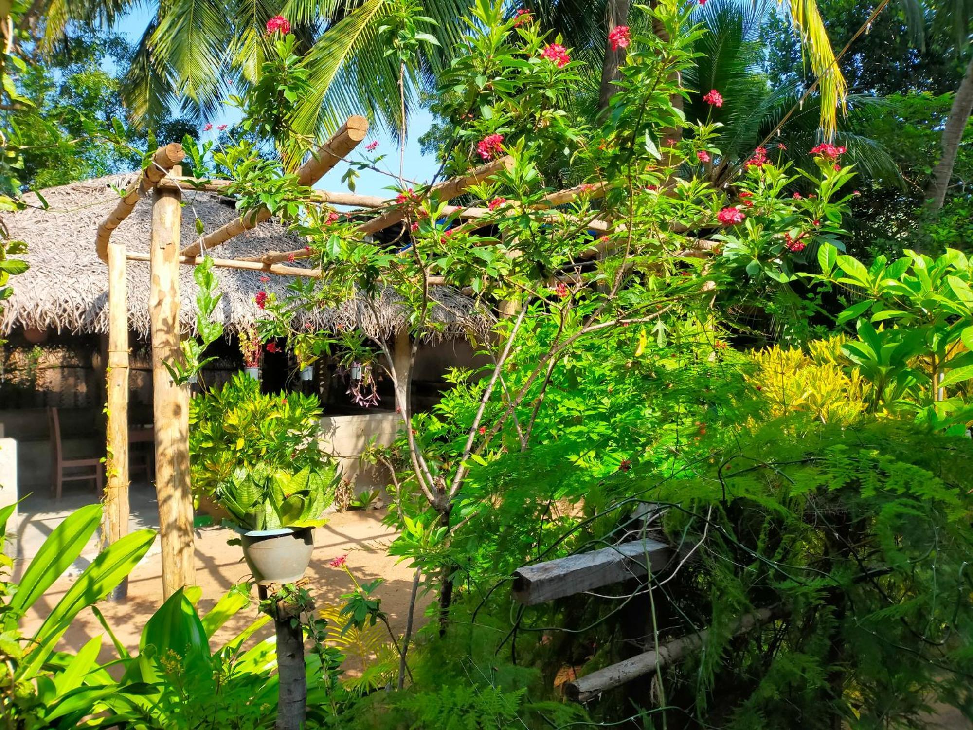 Eastwind Surf Camp Hotel Arugam Bay Exterior photo